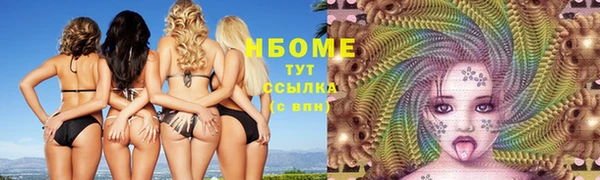 дмт Богородицк