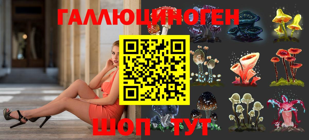 Галлюциногенные грибы мицелий Верхняя Пышма