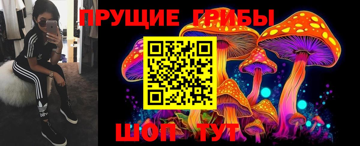 Псилоцибиновые грибы мицелий Верхняя Пышма